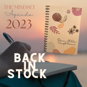 BACK IN STOCK AGENDA 2023